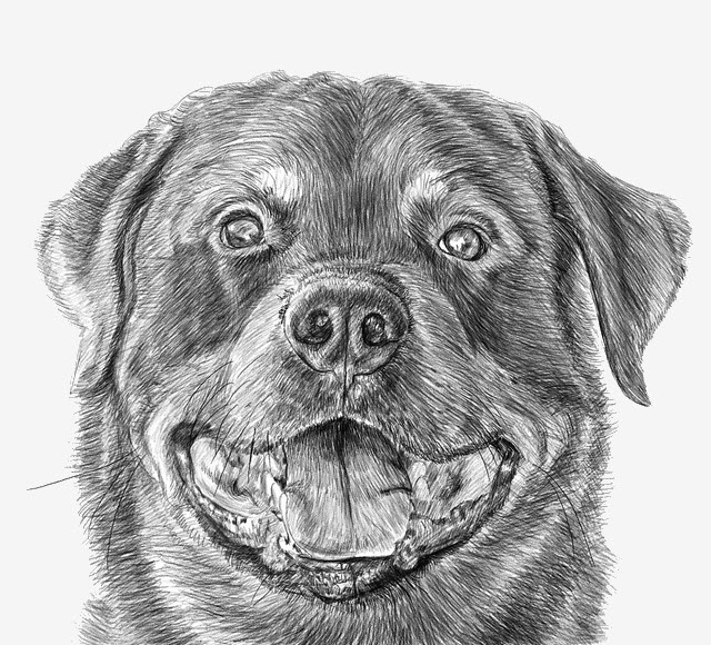 rottweiler logo